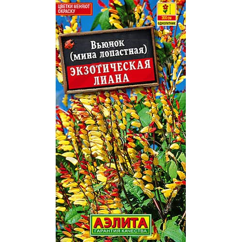 Вьюнок Экзотическая лиана Аэлита изображение 1 артикул 98907