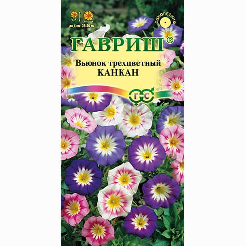 Вьюнок трехцветный Кан-кан, смесь окрасок Гавриш изображение 1 артикул 73822