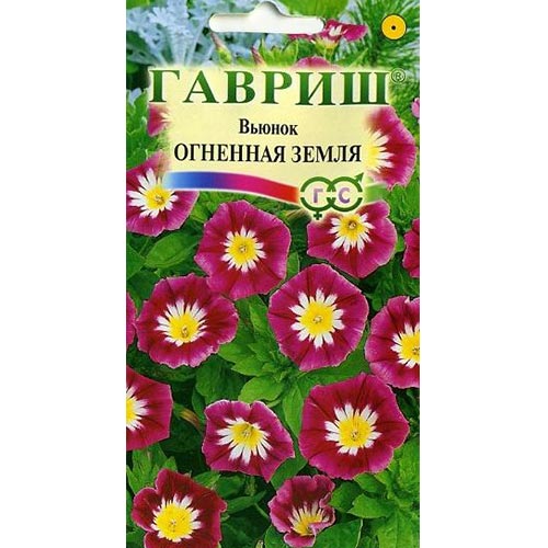 Вьюнок трехцветный Огненная земля, семена изображение 1 артикул 92000