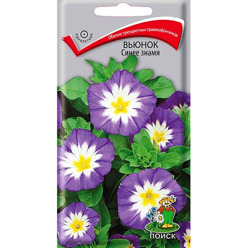 Вьюнок трехцветный Синее знамя, семена изображение 1 артикул 92929