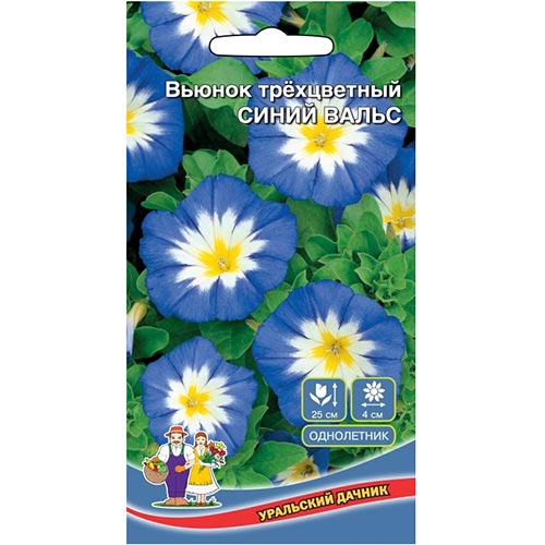 Вьюнок трехцветный Синий вальс, семена изображение 1 артикул 94771