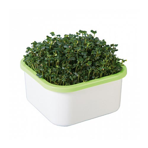 Выращиватель «Здоровья клад» (для зеленой травки) изображение 3 артикул 85218