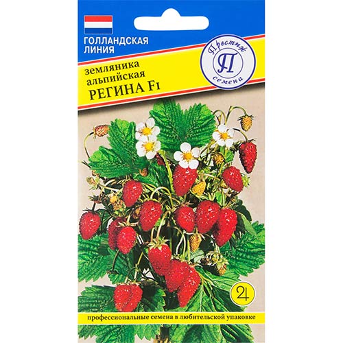 Земляника альпийская Регина F1 Престиж изображение 1 артикул 81108