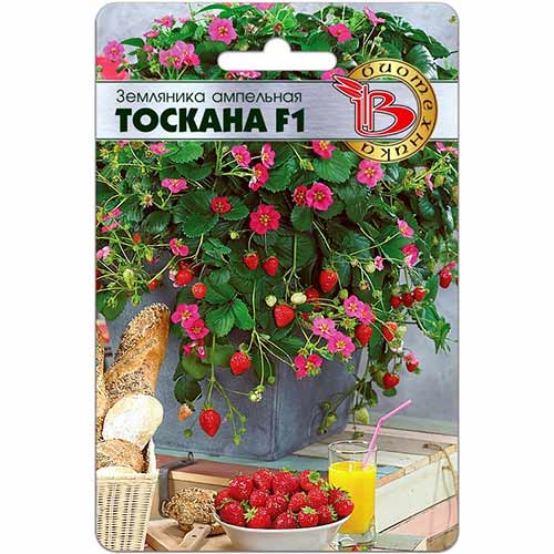 Земляника ампельная Тоскана F1 Биотехника изображение 1 артикул 82689