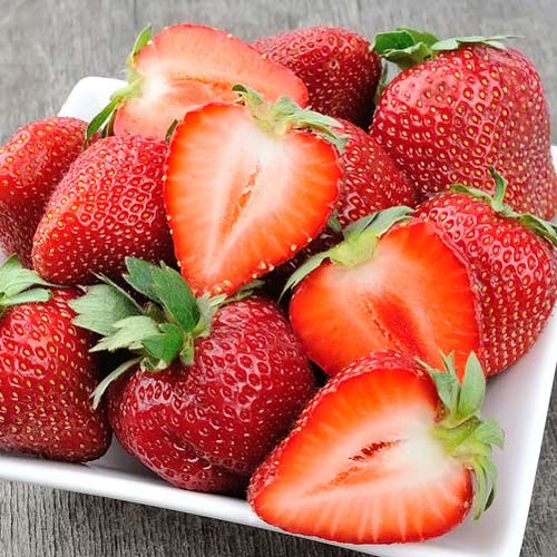 Клубника (крупная земляника) Богота артикул фото 1 Клубника (крупная земляника) Богота изображение 1 артикул 8083