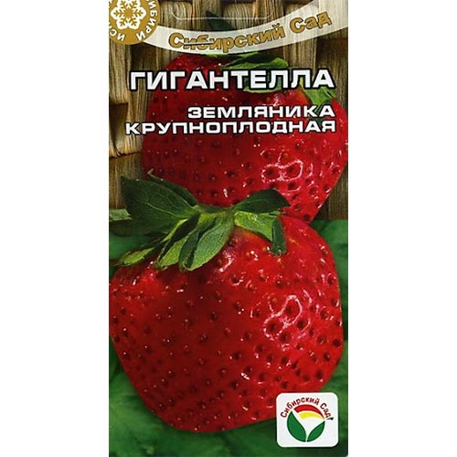 Земляника крупноплодная Гигантелла Сибирский Сад (65231): купить семена ...