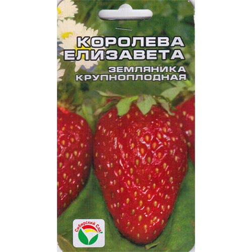 Земляника ремонтантная крупноплодная Королева Елизавета Сибирский Сад изображение 1 артикул 65230