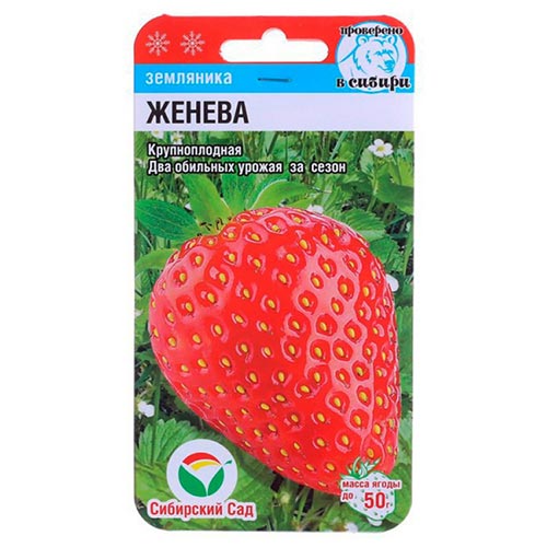Земляника ремонтантная крупноплодная Женева Сибирский Сад изображение 1 артикул 94335
