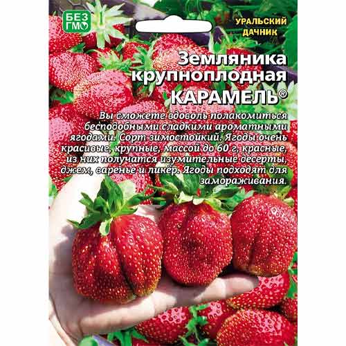Земляника крупноплодная Карамель Уральский дачник изображение 1 артикул 97138