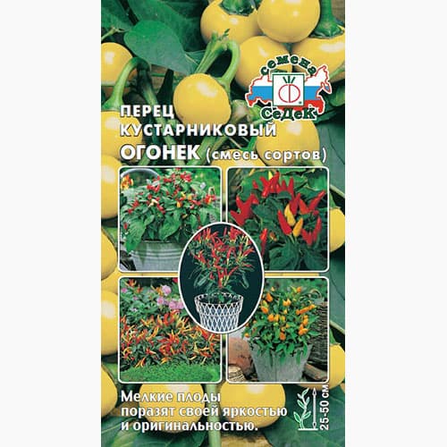 Перец острый кустарниковый Огонёк Седек изображение 1 артикул 98051