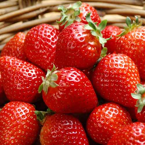 Земляника (крупноплодная) Мармолада Онебор изображение 1 артикул 5779