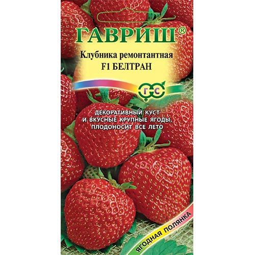 Земляника крупноплодная ремонтантная Белтран F1, семена изображение 1 артикул 91681