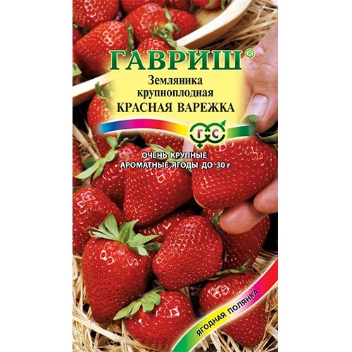 Земляника крупноплодная ремонтантная Красная варежка, семена изображение 1 артикул 91682