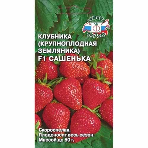Земляника крупноплодная ремонтантная Сашенька F1 Седек изображение 1 артикул 40457