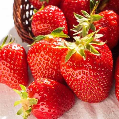 Земляника (крупноплодная) Сибилла изображение 1 артикул 5781