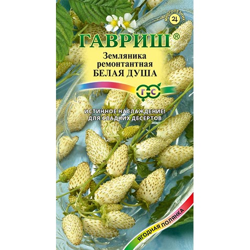 Земляника мелкоплодная ремонтантная Белая душа , семена изображение 1 артикул 91684