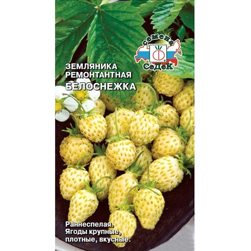 Земляника мелкоплодная ремонтантная Белоснежка, семена изображение 1 артикул 93323
