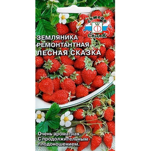 Земляника мелкоплодная ремонтантная Лесная Сказка, семена изображение 1 артикул 93324