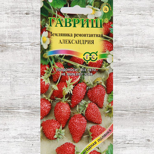 Земляника ремонтантная Александрия Гавриш изображение 1 артикул 65232