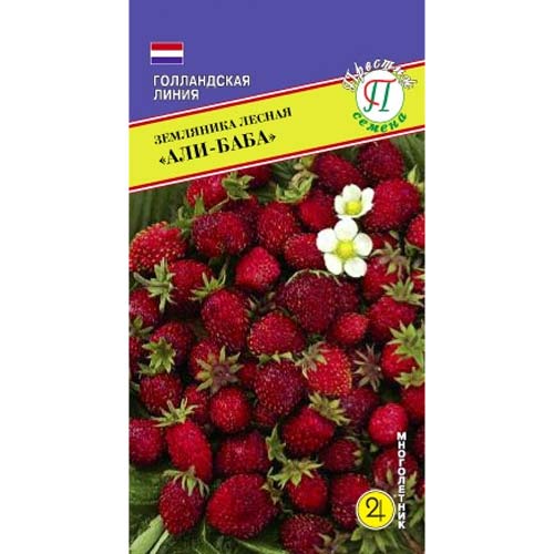 Земляника мелкоплодная ремонтантная Али-Баба Престиж изображение 1 артикул 83147
