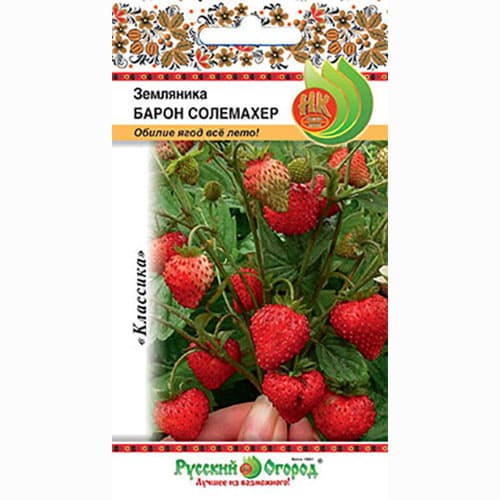 Земляника мелкоплодная ремонтантная Барон Солемахер Русский огород НК изображение 1 артикул 83148