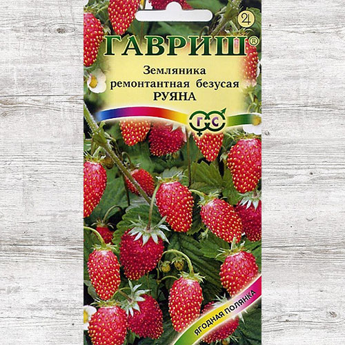 Земляника ремонтантная безусая Руяна Гавриш изображение 1 артикул 65244