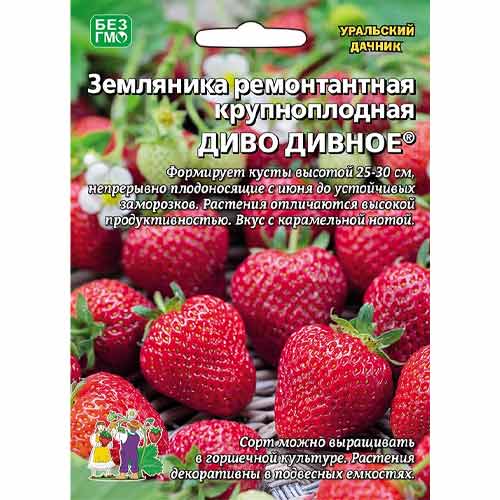 Земляника ремонтантная крупноплодная Диво дивное Уральский дачник изображение 1 артикул 97129