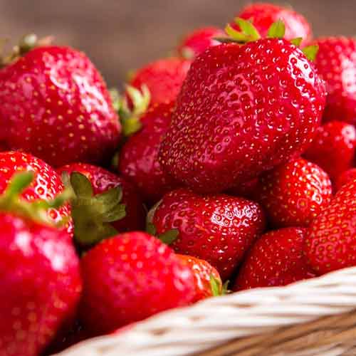 Земляника ремонтантная (крупноплодная) Маригетт изображение 1 артикул 5789