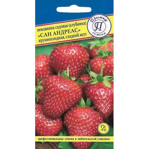 Земляника ремонтантная крупноплодная Сан Андреас Престиж изображение 1 артикул 97981
