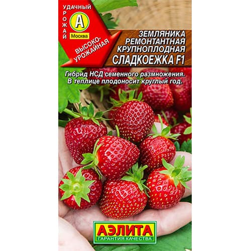 Земляника ремонтантная крупноплодная Сладкоежка F1 Аэлита изображение 1 артикул 98238