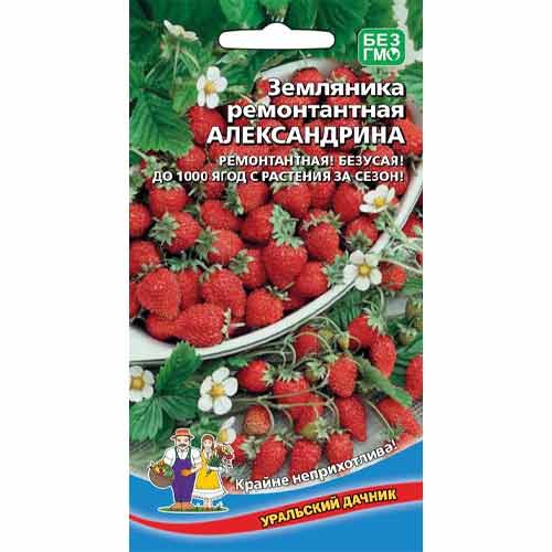 Земляника ремонтантная мелкоплодная Александрия Сибирский Сад изображение 1 артикул 98189