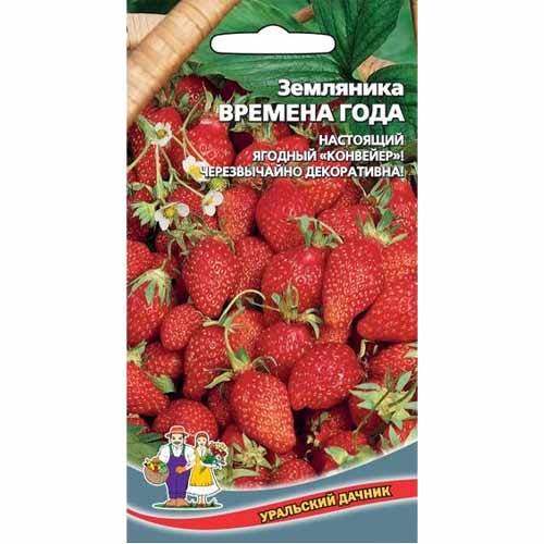 Земляника ремонтантная мелкоплодная Времена года Уральский дачник изображение 1 артикул 40651