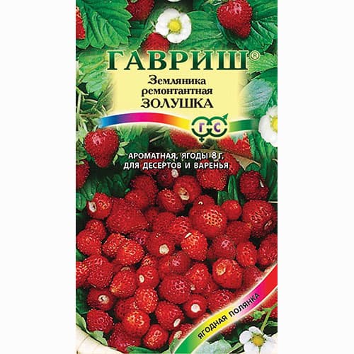 Земляника мелкоплодная ремонтантная Золушка Гавриш изображение 1 артикул 65240