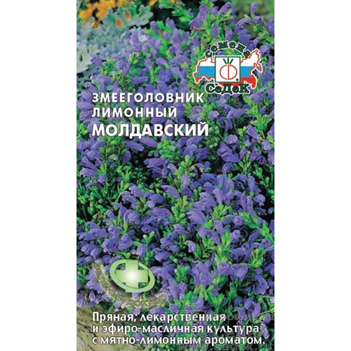 Змееголовник (мелисса турецкая) Молдавский, семена изображение 1 артикул 93326