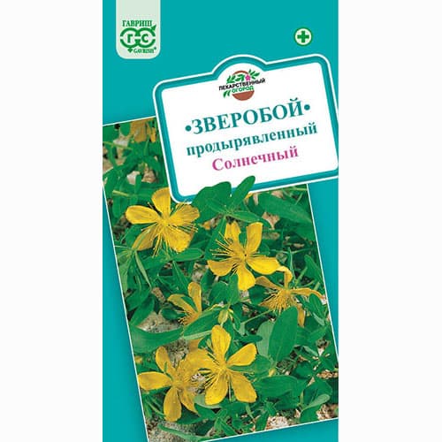 Зверобой Солнечный Гавриш изображение 1 артикул 74003