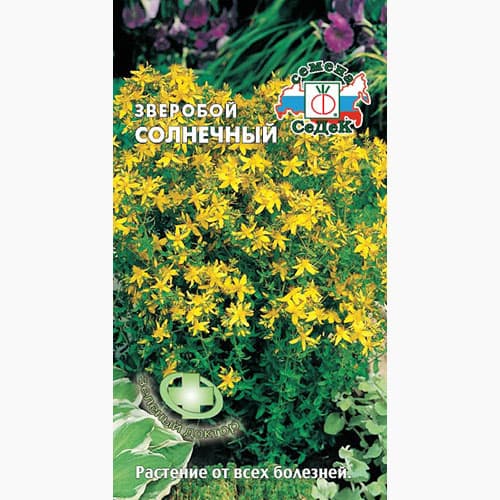 Зверобой Солнечный Седек изображение 1 артикул 98088