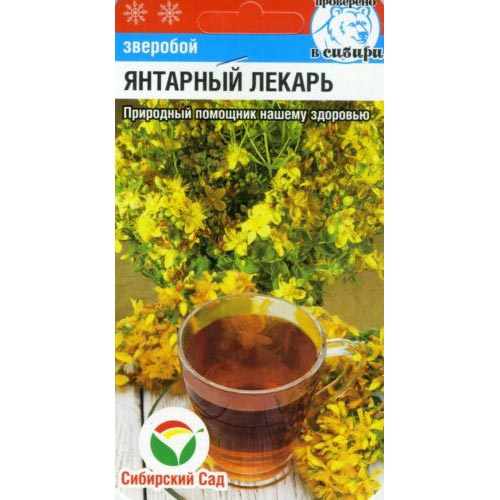 Зверобой Янтарный лекарь Сибирский сад изображение 1 артикул 66613