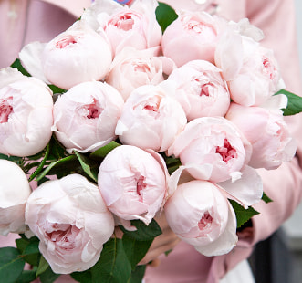 Розы пионовидные