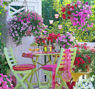 Семена цветов