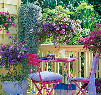 Вьющиеся растения