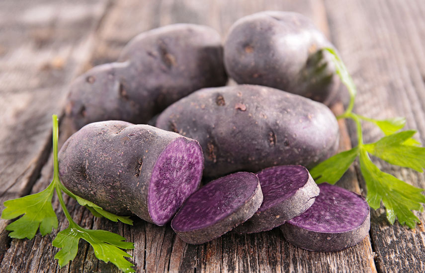 фиолетовый картофель как посадить и вырастить
