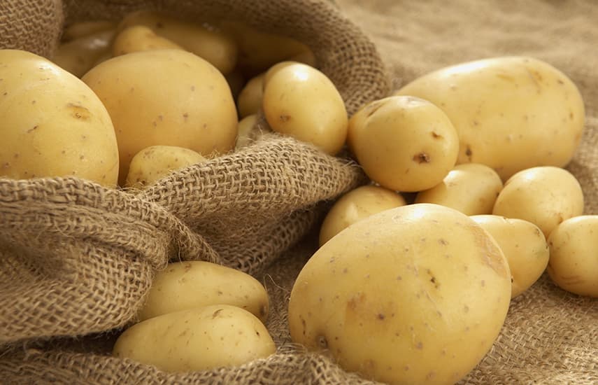 Сорта желтой картошки