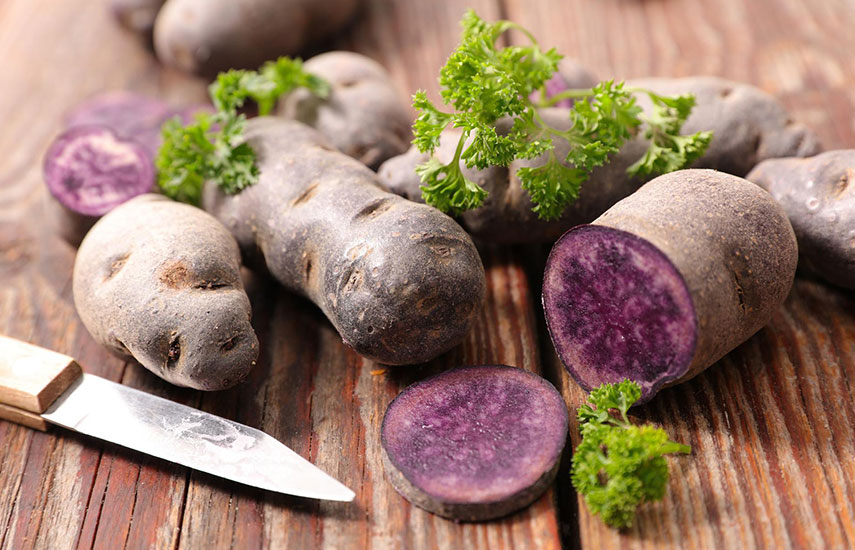 фиолетовый картофель как выращивать