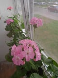 upload_img1