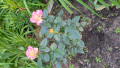 upload_img1