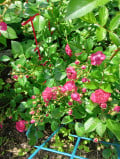 upload_img1