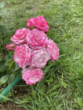 upload_img1