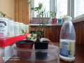upload_img1