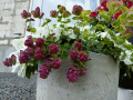 upload_img1