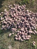 upload_img1